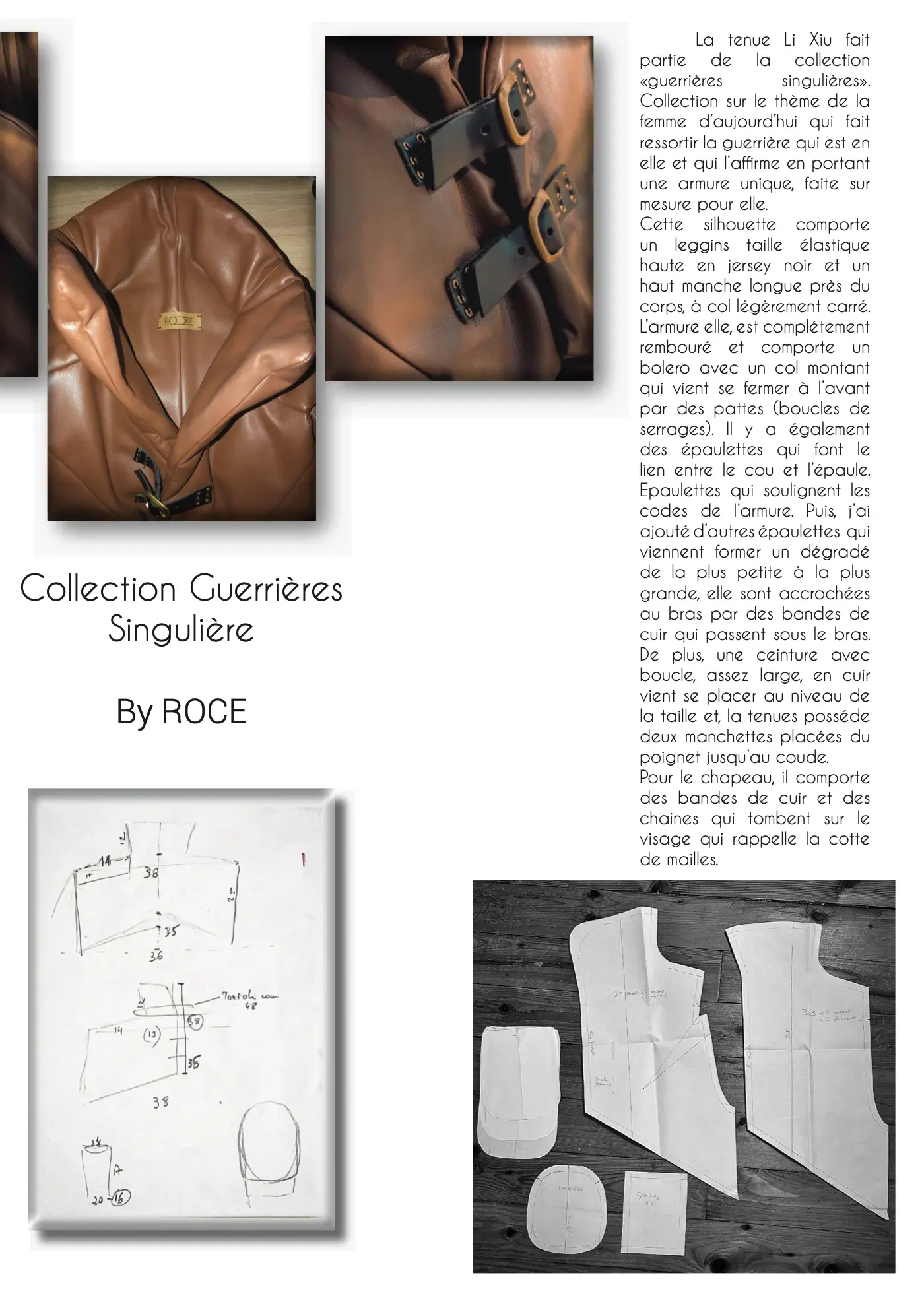 Guerrières singulières — La collection, 5