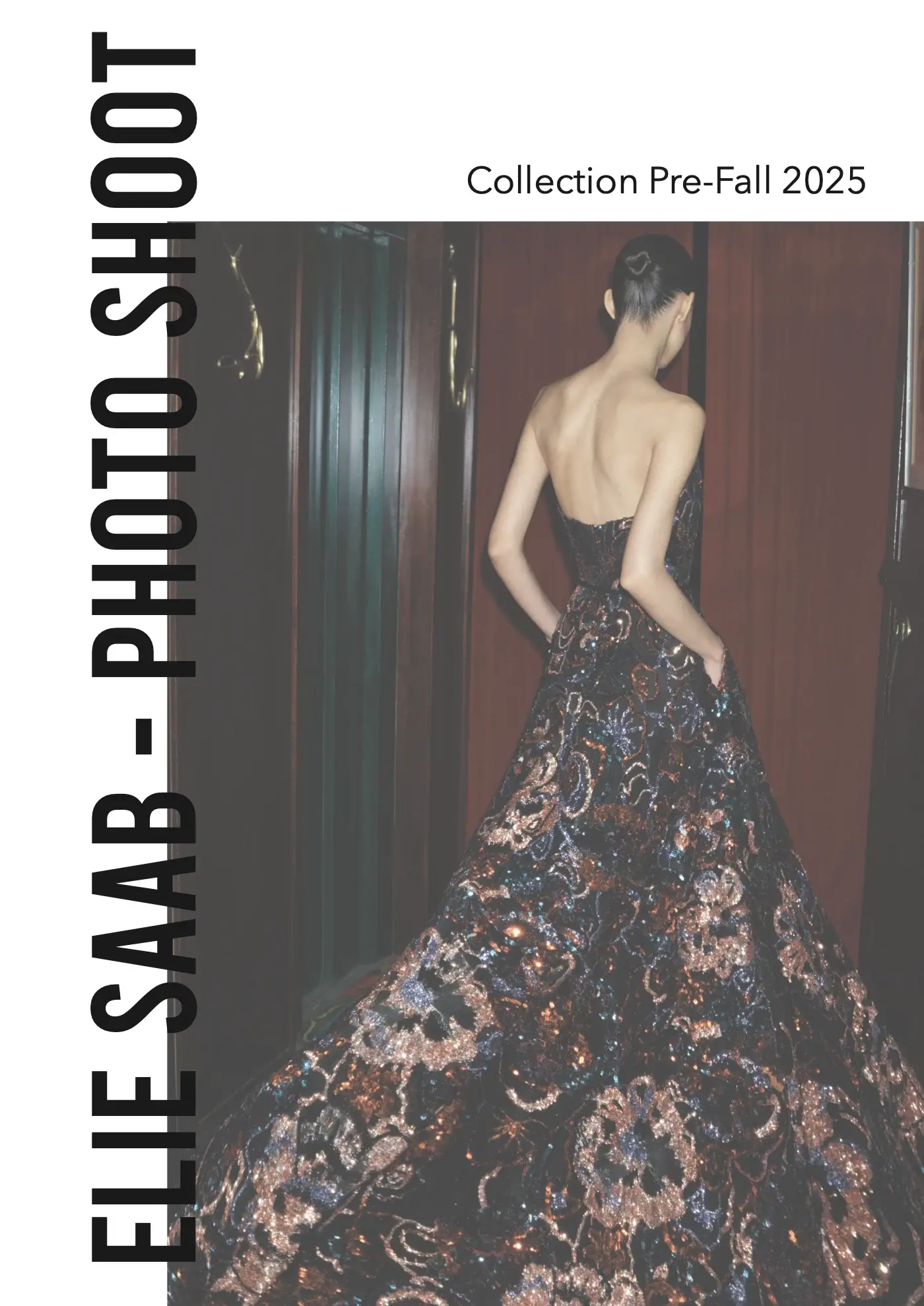 Elie Saab — Pre-Fall 2025, planche 1